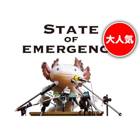 オシャレおもしろTシャツ「STATE OF EMERGENCY」【Tシャツ(半袖)】