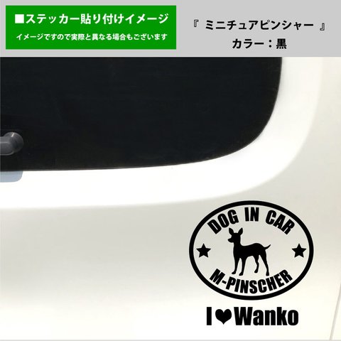 かわいい ミニチュアピンシャー 犬 ドッグインカー dog in car 車 ステッカー シール