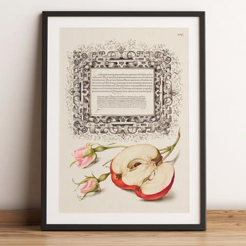 『りんごと花』ヴィンテージポスター｜16世紀イタリア｜西洋画