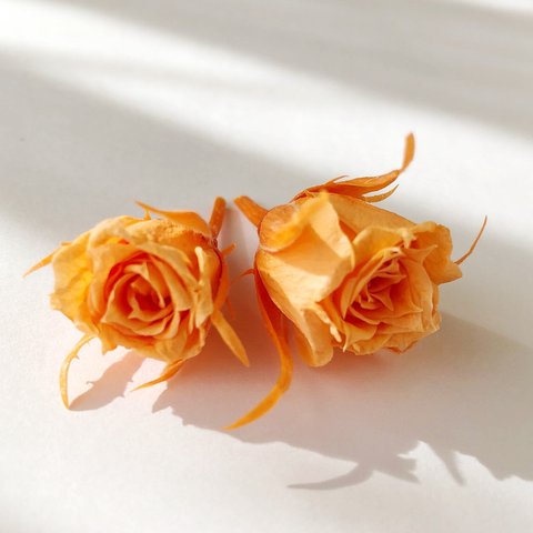 シェア花材☆マイクロローズ　サンセットオレンジ