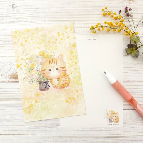 ミモザと猫 ポストカード 2枚セット｜キラふわ水彩