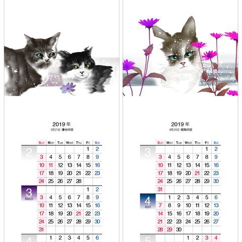 猫a　2019年度月捲りカレンダー