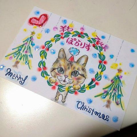 うちの子クリスマス2023🎄🐶🐾ポストカード1枚〜見本猫🐱🎍🐾