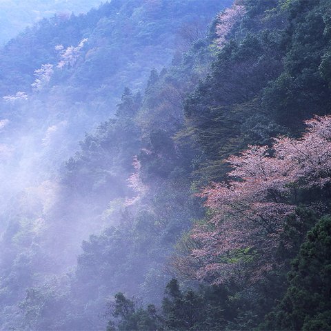 HA-122  春、雨上がり　A４sizeA-1中段