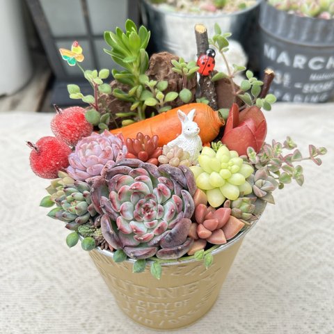 【送料無料】可愛い♡にんじん運ぶうさぎさん♪多肉植物寄せ植え　母の日　プレゼント