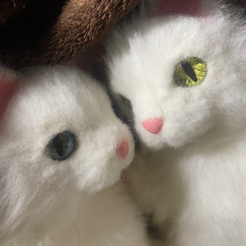 猫 【黄色目】 アートドール ぬいぐるみ