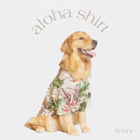 【 titi original 】 Aloha shirt ・ ivory 大型犬服