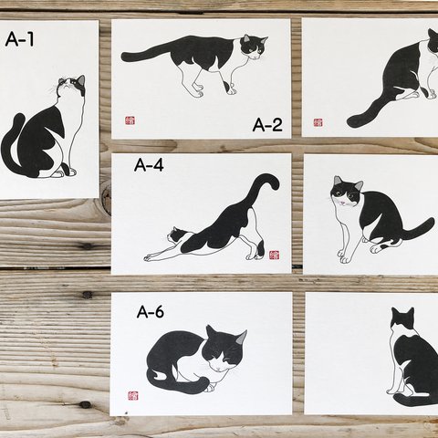 選べる猫のポストカード　5枚セット「A」