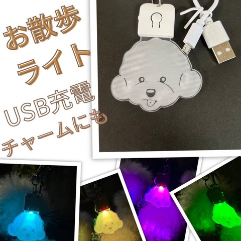 お散歩ライト.チャームUSB充電　LED