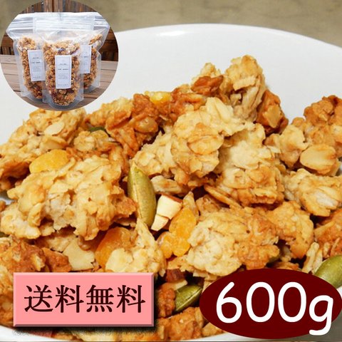 送料無料（指定地域）　ココナッツ　グラノーラ　600g（200g×3個）