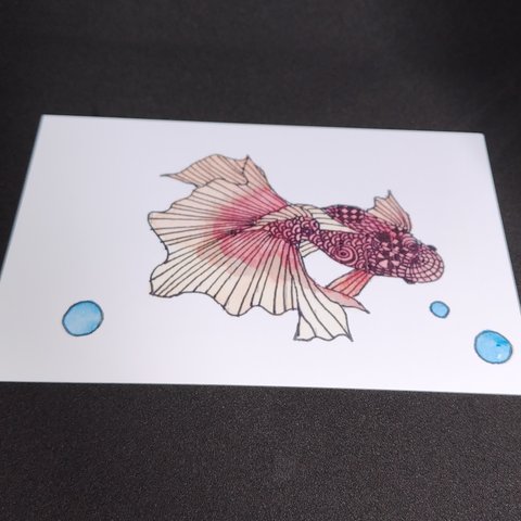 金魚 (ゆらり)