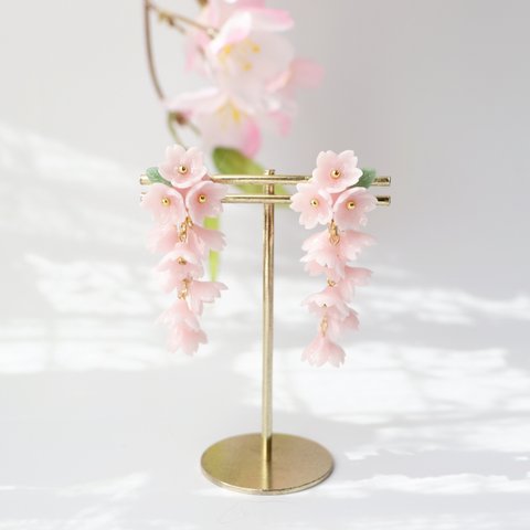 しだれ桜