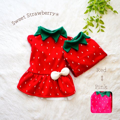 【犬服】Sweet Strawberryワンピース🍓サイズオーダー＆名入れ可