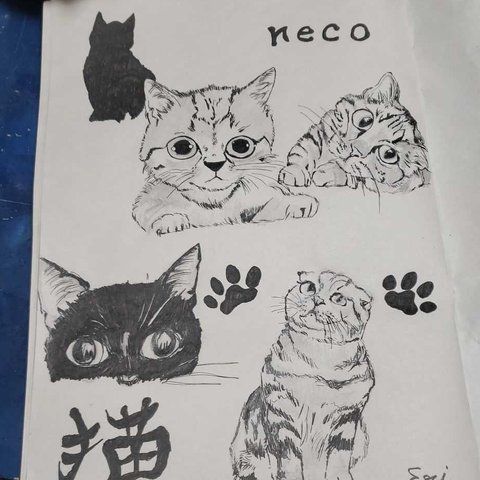 猫の絵画