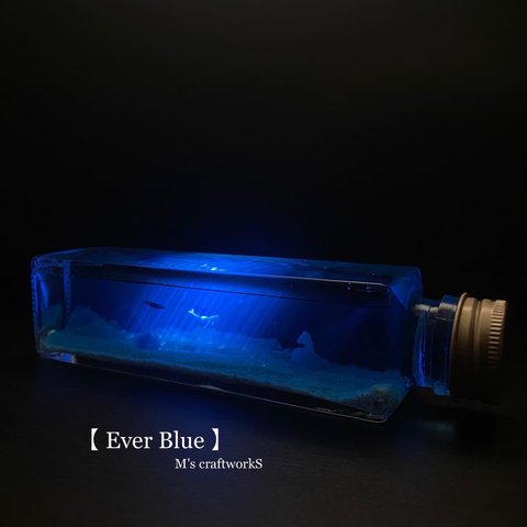 【Ever Blue】アルビノ2