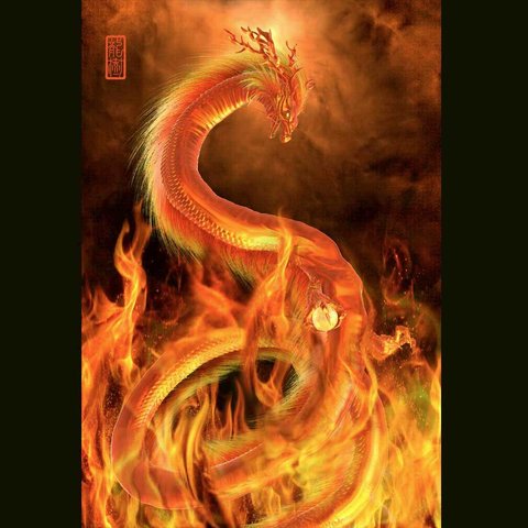 龍の絵「火龍」Ａ４　竜の絵