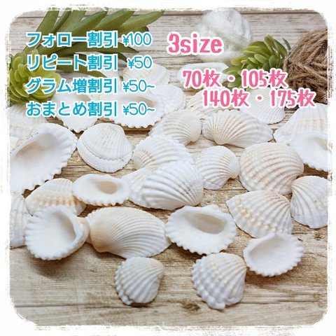 【３size：35枚入り／２set以上】
ハイガイ/ミニ/二枚貝/貝殻/シェル/ハンドメイド/パーツ