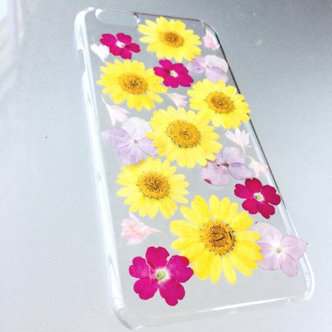 iPhone6ケース  押し花 イエロー／ピンク