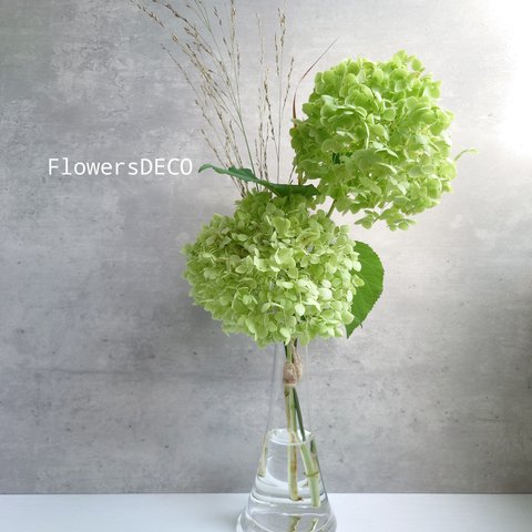 Greenアナベルmini＆パニカムSimple bouquet【bouquet】受注製作