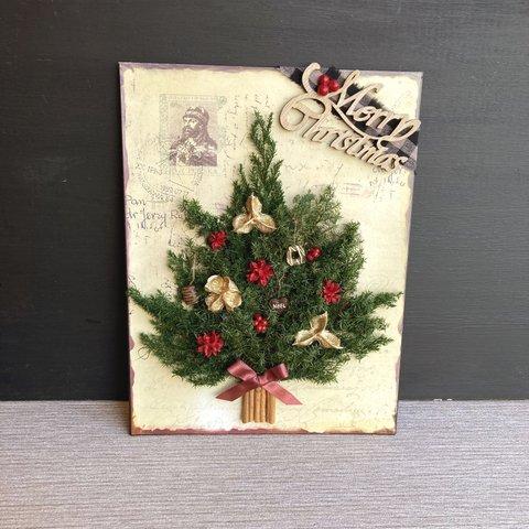 一点物・新作【クリスマス】プリザーブドの壁掛けクリスマスツリー　大きめサイズ　レッド・プレートタイプ