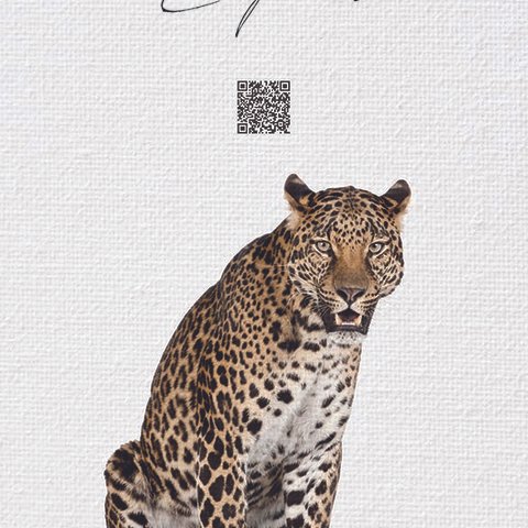 3D表示できるQR付 動物ポスター　豹