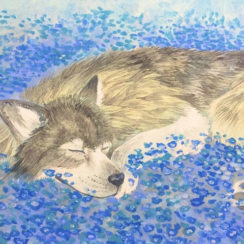 日本画　オオカミと青の花畑　原画
