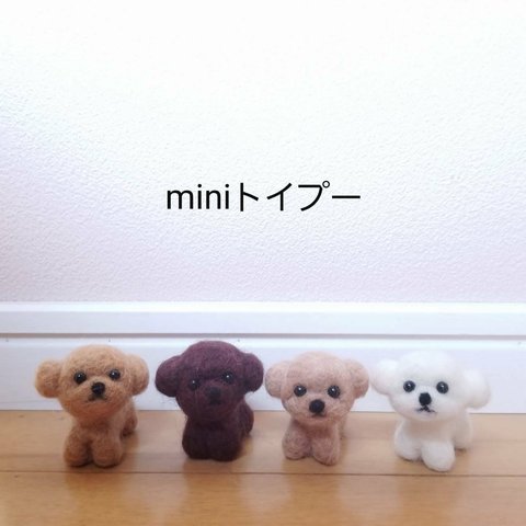 ＊miniminiトイプー＊