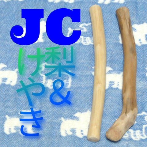 JC.けやき梨の木新品.犬用おもちゃ、超型犬向け歯固めかじり木