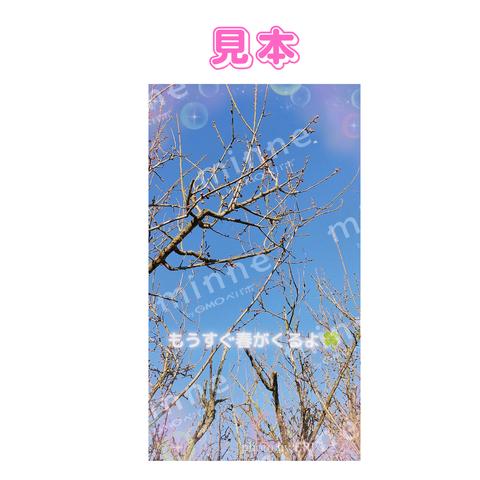 【見るだけで心が落ち着き、リラックス効果抜群✨！魔法のヒーリングフォト💖】もうすぐ春がくるよ🍀(女神フレイヤのラブライトシャワーエネルギー入り💖)