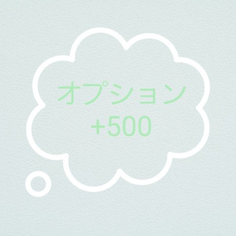 オプション　+500円