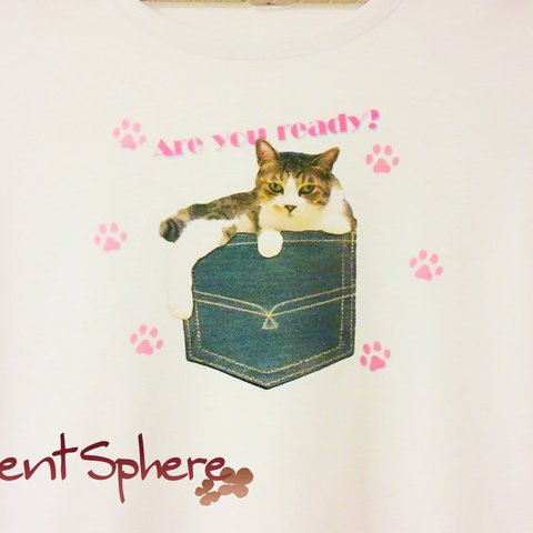 にゃんこらーじゅＴシャツ～Are you ready?～