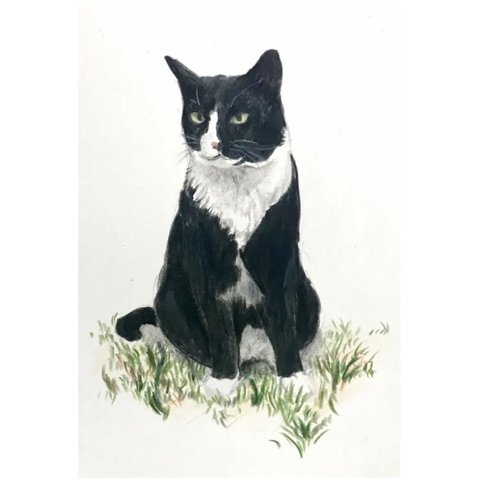 ドローイング　猫　ネコ　色鉛筆画　動物　原画　絵画　イラスト　インテリア