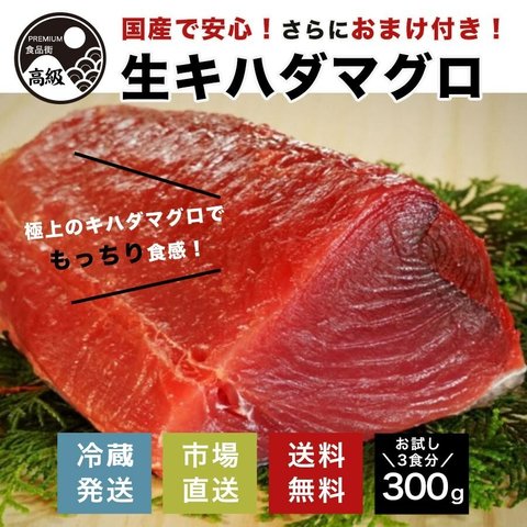 極上!国産生キハダマグロ（生）300g+α　送料無料