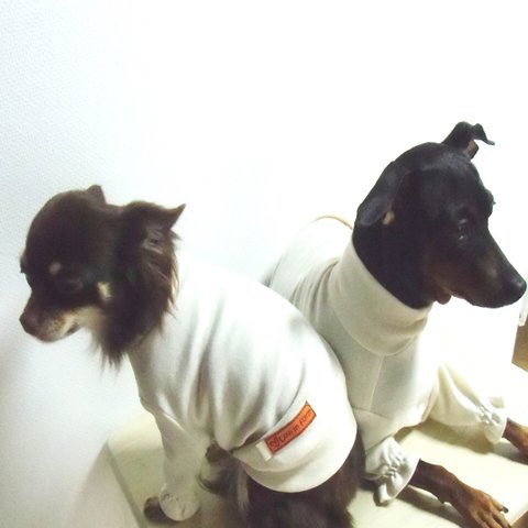 オーガニック素材犬服 (再販)冬バージョン