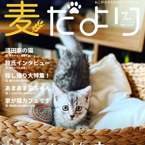 【デジタルデータ販売】雑誌風デジタルデザイン🩵ペット