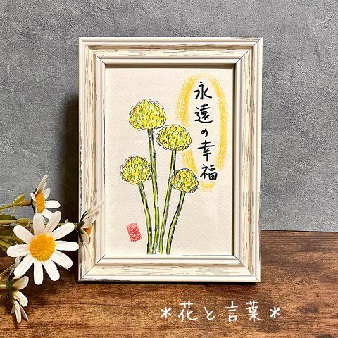 ＊花と言葉＊「永遠の幸福」クラスペディアの花　手描きアート　インテリア額