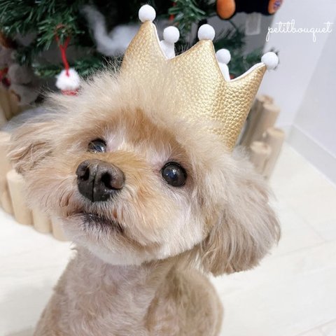 《ペットクラウン》ペットクラウン　わんちゃん　うさぎ　犬　猫パーティーハット　王冠　トナカイ　クリスマス　ベビー　サンタ　名入れ　名入り　ニューボーン　トイプードル　わんこ