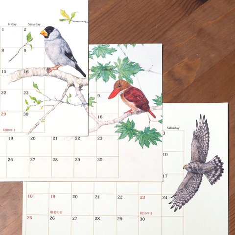 野鳥のカレンダー 2022 (リフィル版)