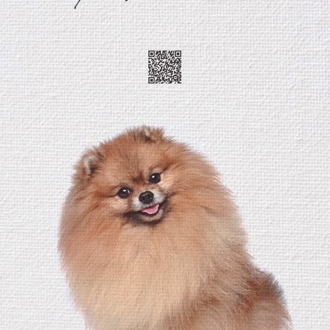 3D表示できるQR付 動物ポスター　犬（ポメラニアン）
