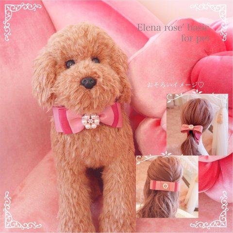 Elena rose' basic for pet