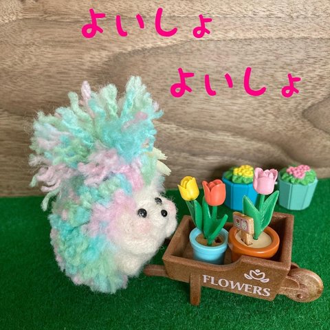 もこもこ　ちょんまげ　ハリネズミ