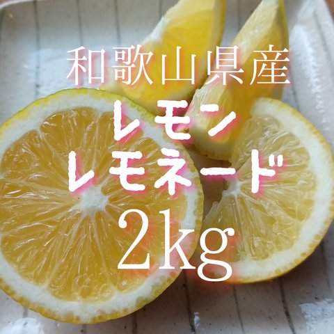 〔送料無料〕【そのまま食べられる】レモンレモネード 2kg 和歌山