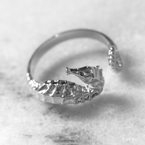 seahorse  ring-タツノオトシゴリング