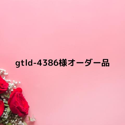 gtld-4386様オーダー品