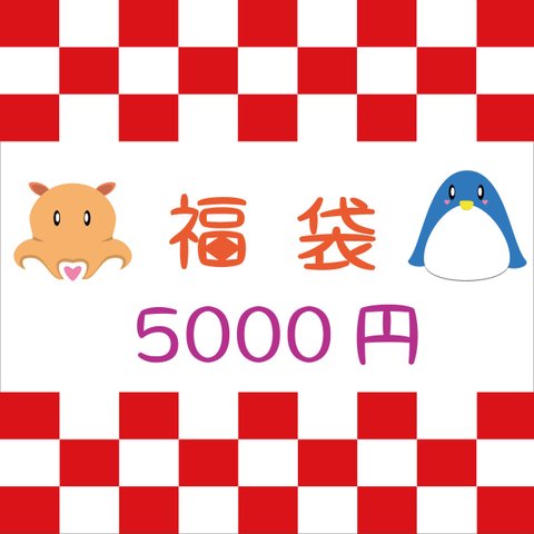 【送料無料！】お楽しみ福袋　★5000円★