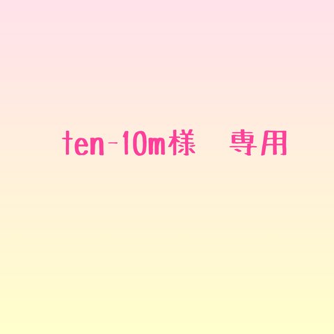 ten-10m様専用