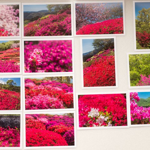 Lサイズの写真・ツツジの花のある風景14枚セット(L029)
