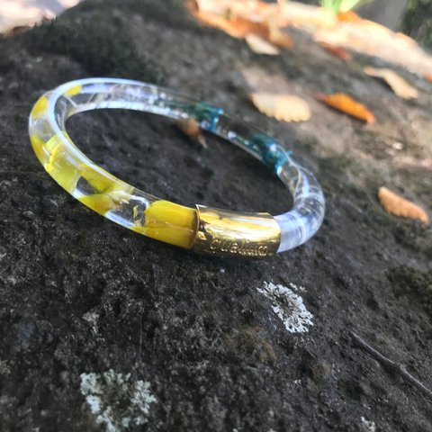 ＜人気4位＞　ヘリクリサムの想い出　　BANGLE（65mm）