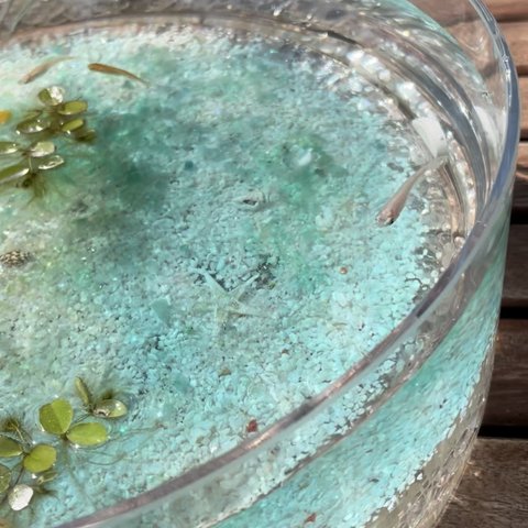 新作　アクアリウム　３点セット　水槽&水底レジンアートパネルセット　水晶　白砂のビーチ　金魚鉢　水鉢