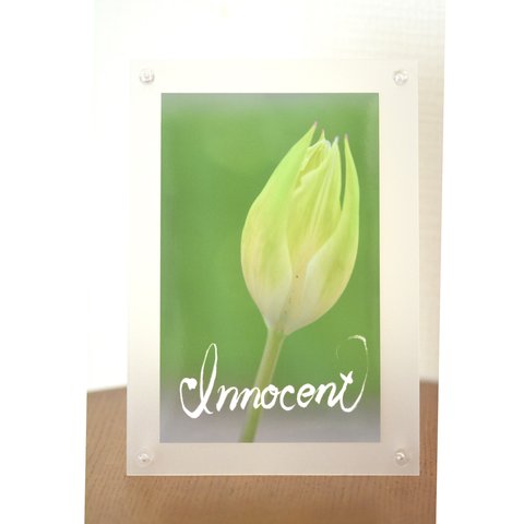 innocent♪写真と書のグラフィックポスター